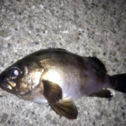 初夏なのに寒い・・・